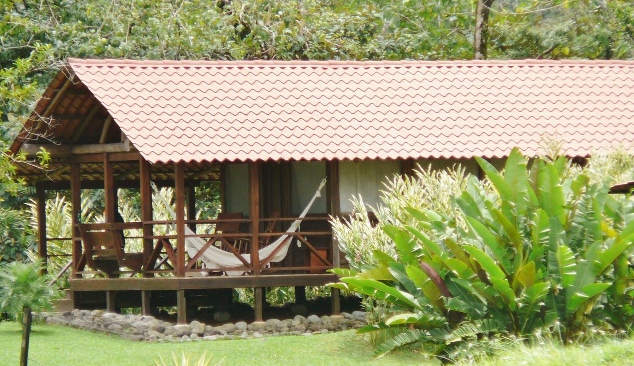La Anita Rain Forest Colonia Dos Ríos 외부 사진