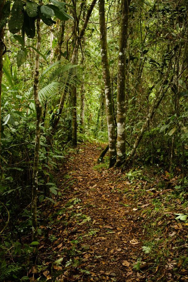 La Anita Rain Forest Colonia Dos Ríos 외부 사진