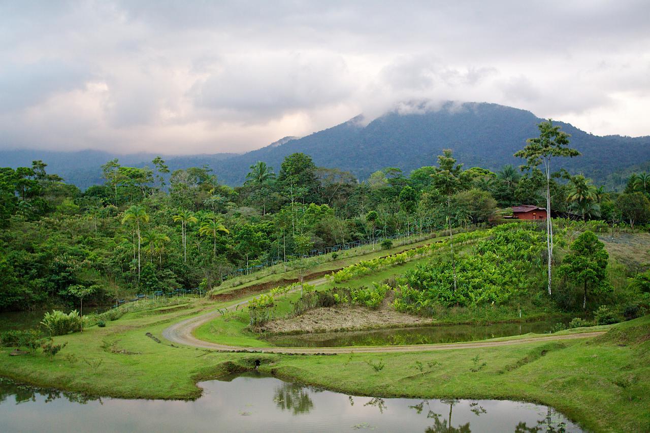 La Anita Rain Forest Colonia Dos Ríos 외부 사진