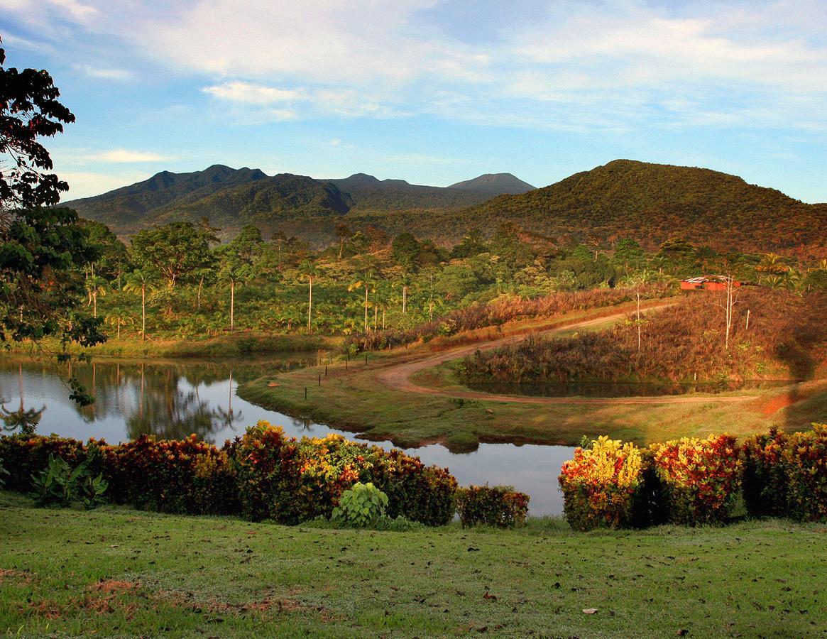 La Anita Rain Forest Colonia Dos Ríos 외부 사진