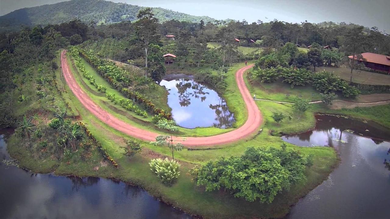 La Anita Rain Forest Colonia Dos Ríos 외부 사진