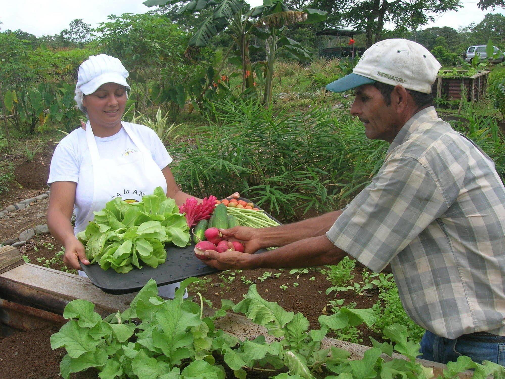 La Anita Rain Forest Colonia Dos Ríos 외부 사진