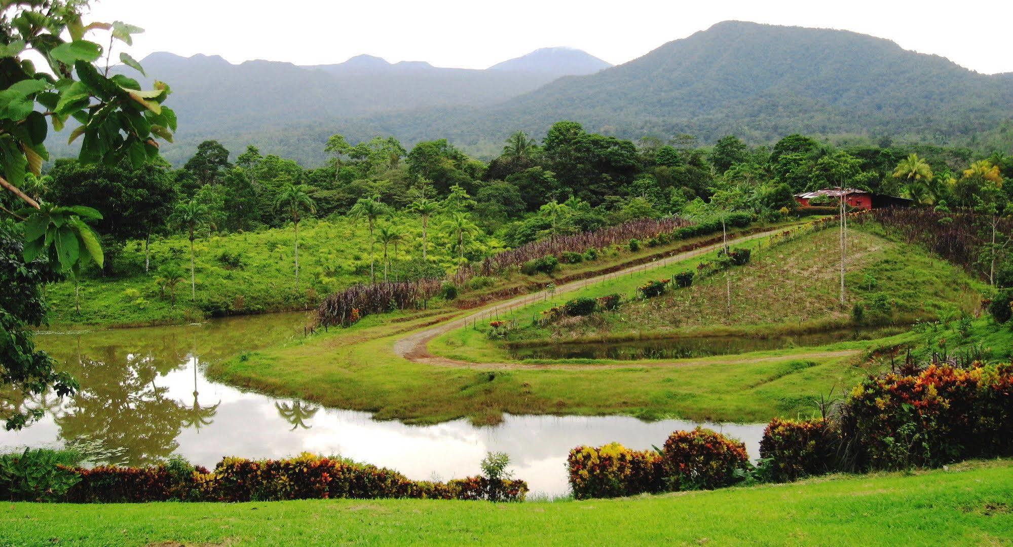 La Anita Rain Forest Colonia Dos Ríos 외부 사진